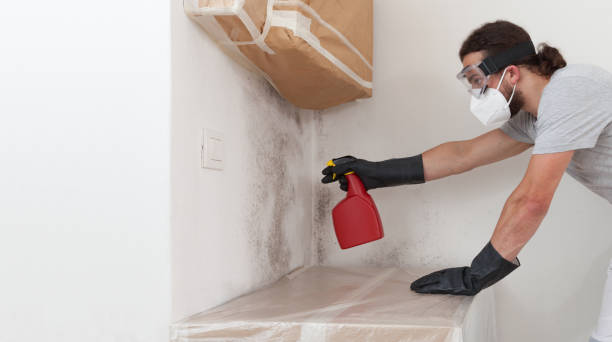 Professional Crawl Space Mold Removal technician working in Calvin, PA