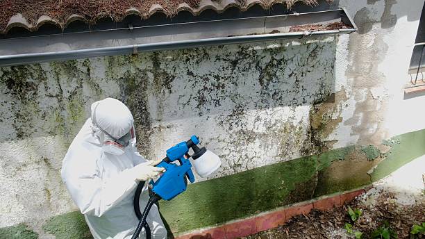 Trusted Crawl Space Mold Removal service in Calvin, PA - Cheap Mold Removal